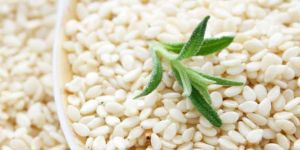 Sesame Seed
