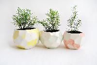 Ceramic Decorated Planters