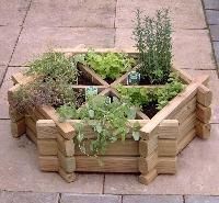 Wooden Planters