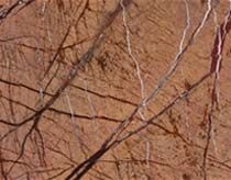 Rainforest Golden Marble