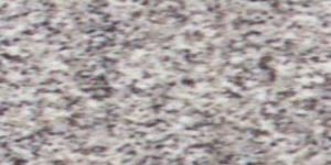 Grey Granite