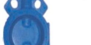 Cast Iron Wafer Type Butterfly Valve SS Disc