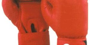 Boxing Leather Gloves 01