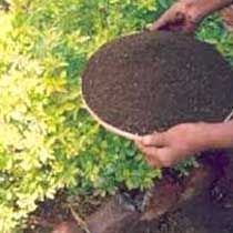 Vermicompost Fertilizer