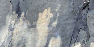 Rustic Autumn Slate Stone