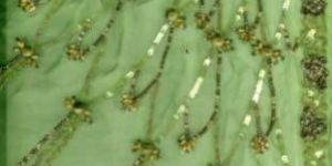 Embroidered Silk Fabric-04