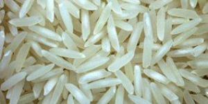 Basmati Rice