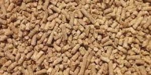 Cattle Feed