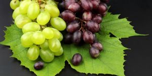 Fresh Grapes