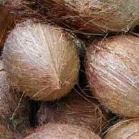 Fresh Mature Coconut