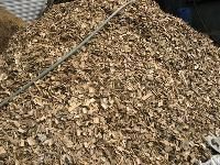 Wood Pulp