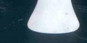 Stainless Steel Bottle Opener