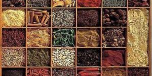 Indian Spices for Sale