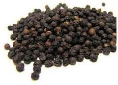 Black Pepper Seeds