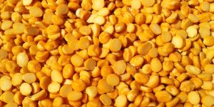 Chana Dal