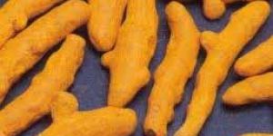 Turmeric Finger