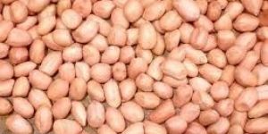 Peanut