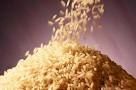 Basmati Rice