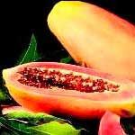 Papaya Pulp