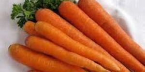 Fresh Carrots