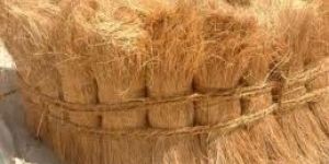 Coir Fibre