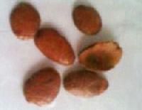 Monoherbal Akota Seeds
