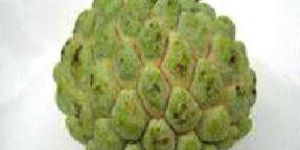 Fresh Custard Apple