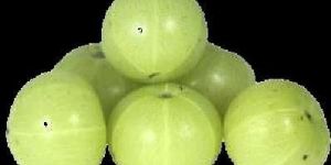Fresh Gooseberry