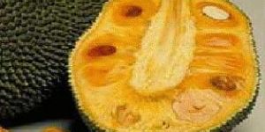 Fresh Jackfruit