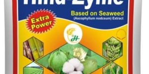Bio Fertilizer Hind Zyme Granules