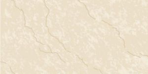 Soluble Salt Vitrified Floor Tiles