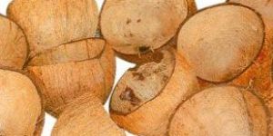 Coconut Shell