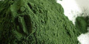 Spirulina