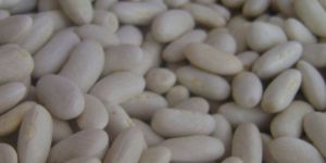 White Bean