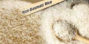 Printed Packaging Box