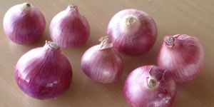 Nashik Onion