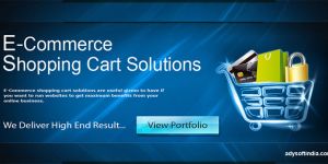 E Commmerce Website Designing Services