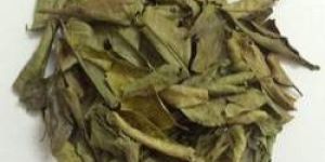Dry Curry Leaves