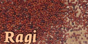 Ragi Seeds