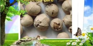 Diabetes Cure Flower