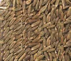 Cumin Seeds