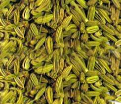Fennel Seeds