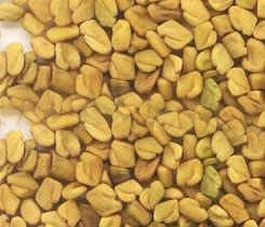 Fenugreek Seeds