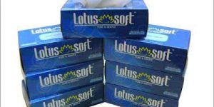 Lotus Soft Facial Tissue Box