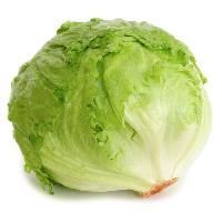Lettuce Iceberg