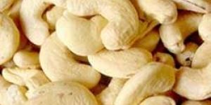Cashew Nuts