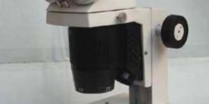 Stereo Microscope