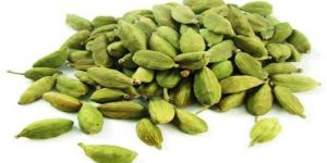 Green Cardamom