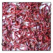 Dry Red Byadgi Chilli