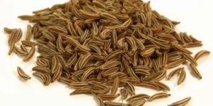 Cumin Seeds